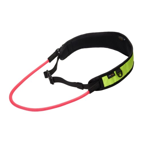 Pas-do-biegania-JoQu-Canicross-Neon-Pink.jpeg