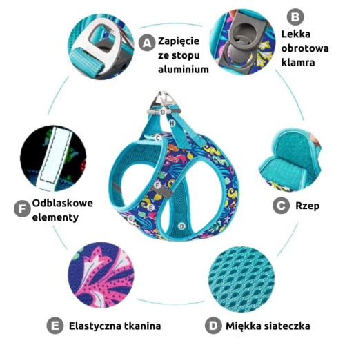Szelki-step-in-dla-malego-psa-Truelove-Mini-Aurora.jpg