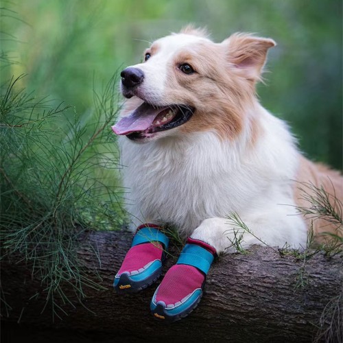 Profesjonalne-buty-dla-psa-Truelove-Vibram (7).jpg
