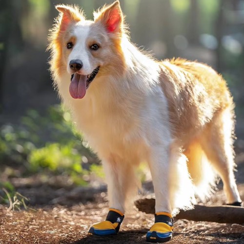 Profesjonalne-buty-dla-psa-Truelove-Vibram (8).jpg