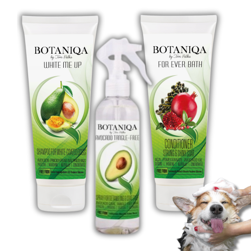 botaniqa 2026 20.png