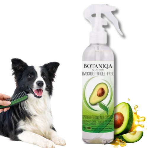 botaniqa 2026 55.png