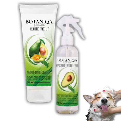 botaniqa 2026 22.png