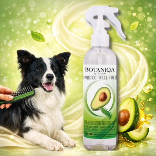 botaniqa 2026 54.png