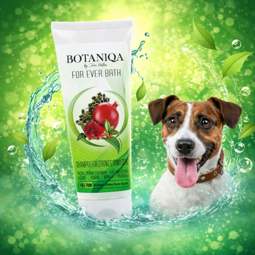 botaniqa 2026 36.png