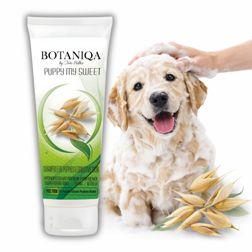 botaniqa 2026 48.png