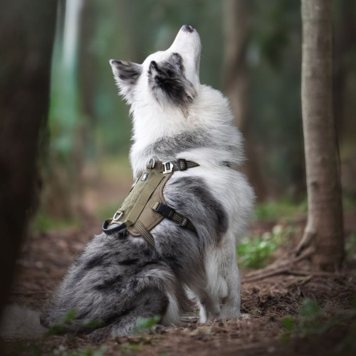 Szelki-antyucieczkowe-dla-psa-Truelove-Safe-Hiking-khaki (1).jpg