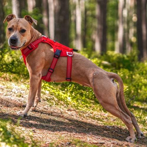 Szelki-antyucieczkowe-dla-psa-Truelove-Safe-Hiking-czerwone (1).jpg