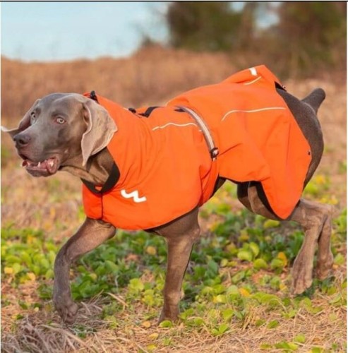 Wodoodporna kurtka, derka dla psa Winhyepet