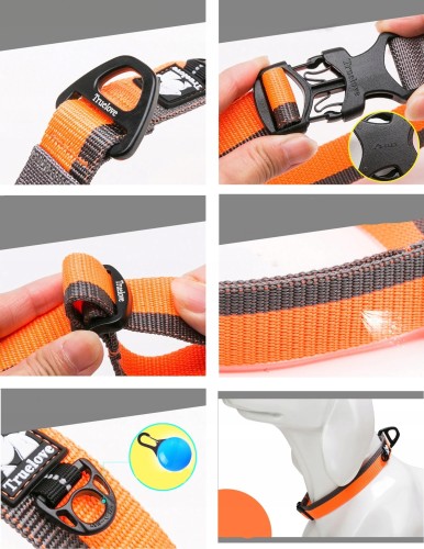 Obroża dla psa Truelove Dogi