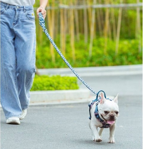 Smycz dla psa Truelove Blossom niebieska