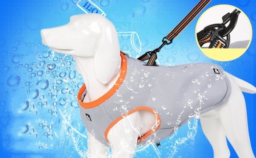 77ae073d4694ab3924ca6f767077