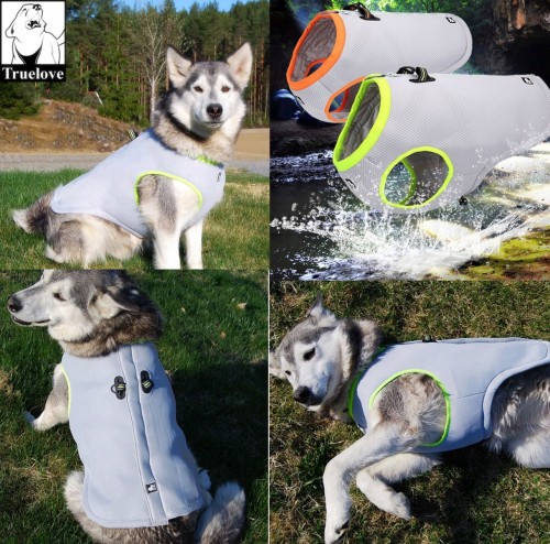 Kamizelka Chłodząca Truelove