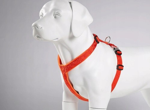 Szelki Guard dla psa Winhyepet Classic