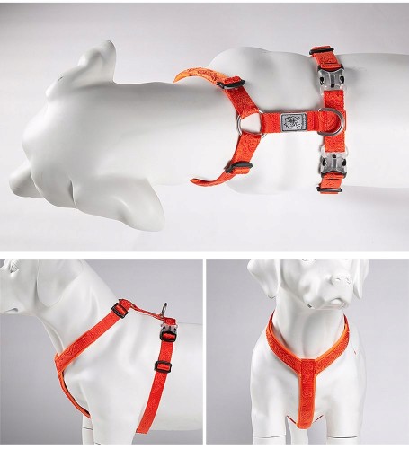 Szelki Guard dla psa Winhyepet Classic
