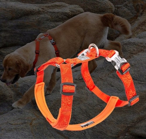 Szelki Guard dla psa Winhyepet Classic