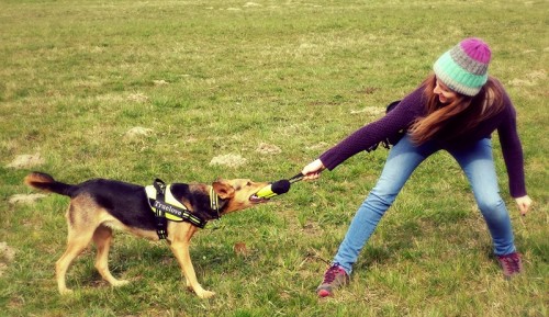 Torebka na przysmaki szarpak aport Truelove