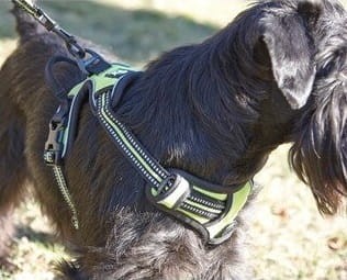 Szelki dla psa Truelove Front Line easy-walk