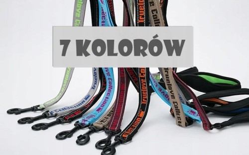 Mocna smycz dla psa TRUELOVE Funky