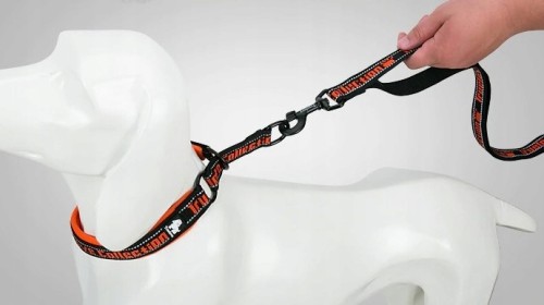 Mocna smycz dla psa TRUELOVE Funky