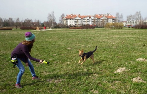 Torebka na przysmaki szarpak aport Truelove