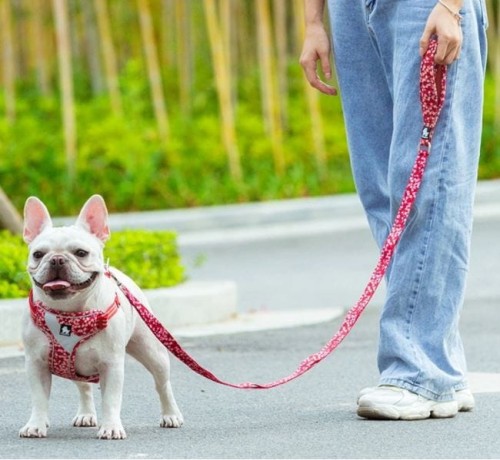 Smycz dla psa Truelove Blossom czerwona