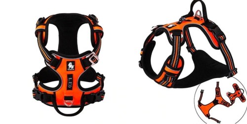 Szelki dla psa Front Line Premium Truelove pomarańczowe