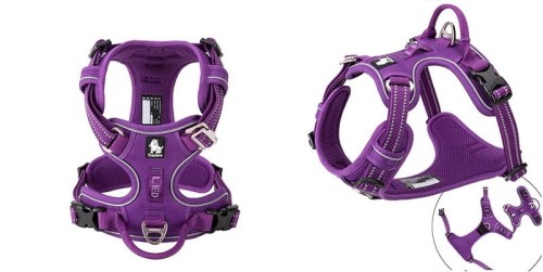 Szelki dla psa Front Line Premium Truelove fioletowe