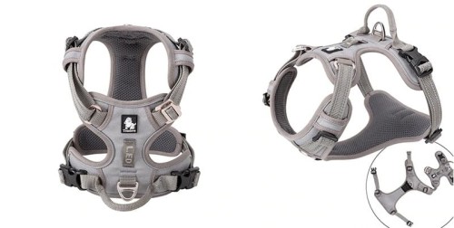 Szelki dla psa Front Line Premium Truelove szare