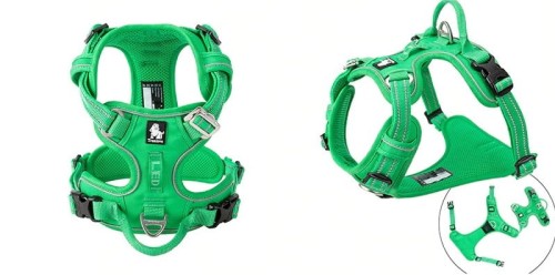 Szelki dla psa Front Line Premium Truelove zielone