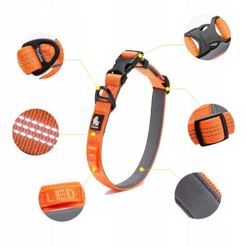 Obroża dla psa Truelove Lumen odblaskowa