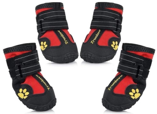 Buty ochronne Travel dla psa Truelove 4 sztuki czerwone