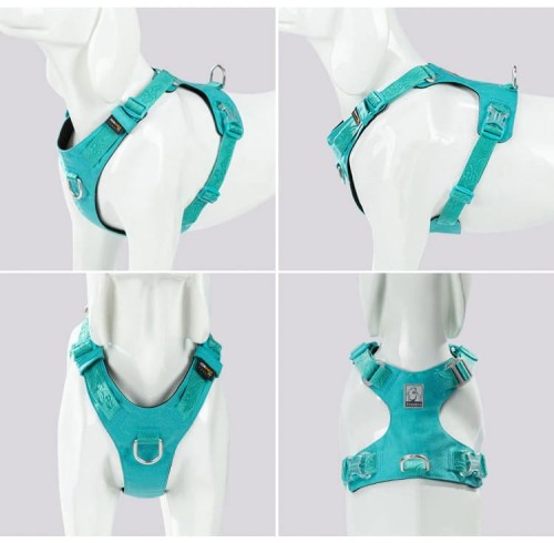 Szelki dla psa Adventure Soft Truelove Błękitne