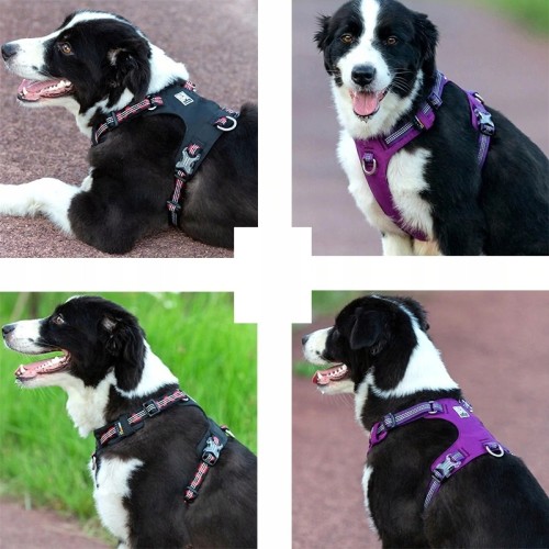 Szelki dla psa Adventure Dog Truelove