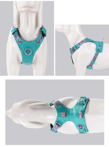 zelki dla psa Adventure Dog Truelove Błękitne