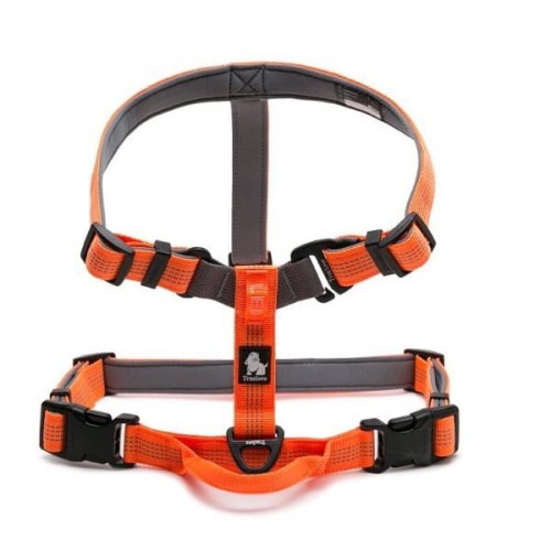 Lekkie Szelki Guard Lumen Lite Truelove Pomarańczowe