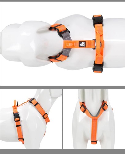 Lekkie Szelki Guard Lumen Lite Truelove Pomarańczowe