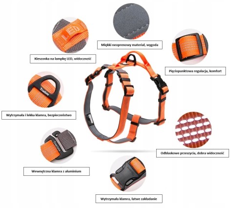 Lekkie Szelki Guard Lumen Lite Truelove