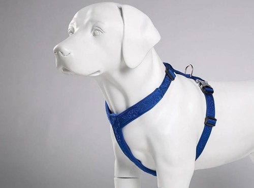 Szelki Guard dla psa Winhyepet Classic Niebieskie