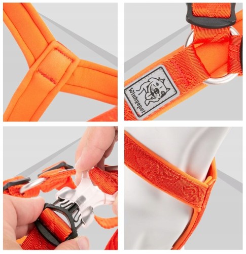 Szelki Guard dla psa Winhyepet Classic