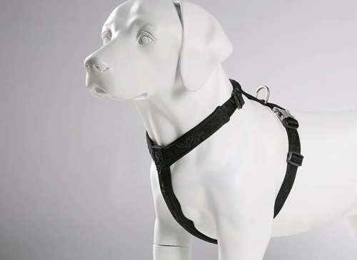 Szelki Guard dla psa Winhyepet Classic Czarne