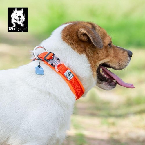 Obroża Classic dla psa Winhyepet Classic9.jpeg