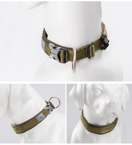 Obroża Classic dla psa Winhyepet Classic7.webp