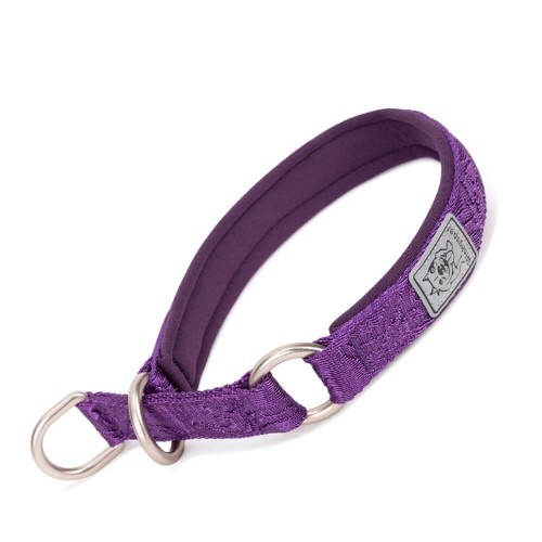 Obroża półzaciskowa dla psa Winhyepet Classic8.jpeg