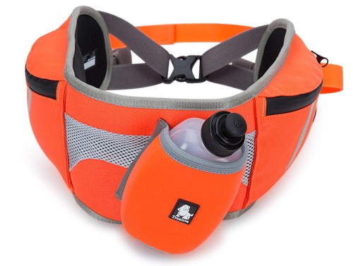 Pas do biegania10.jpg