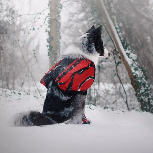 Plecak dla psa Truelove 20.jpg