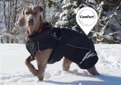 Derka Comfort 11.jpg