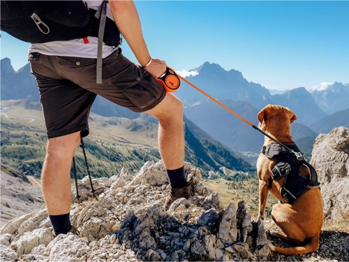 Flexi Xtreme 02.jpeg