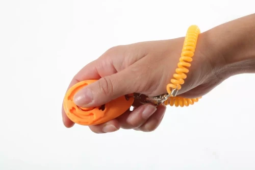 kliker do szkolenia psa zolux1.webp