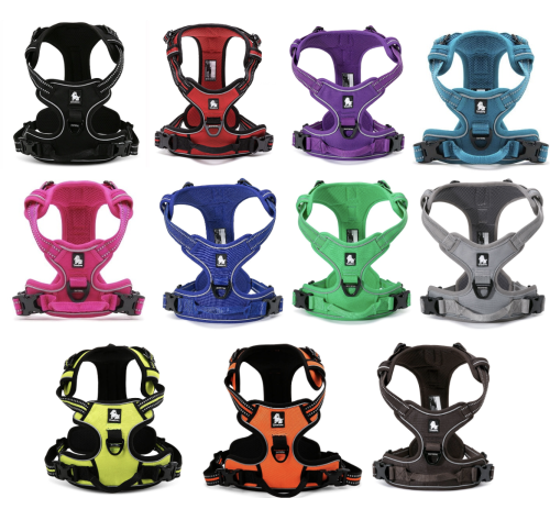 Szelki front line 107.png